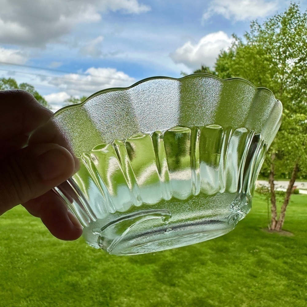 SET/6, NOVACRISA MEXICO, WILD ROSE FLORAL BLOSSOM, CLEAR BOWL WITH FROSTED RIM